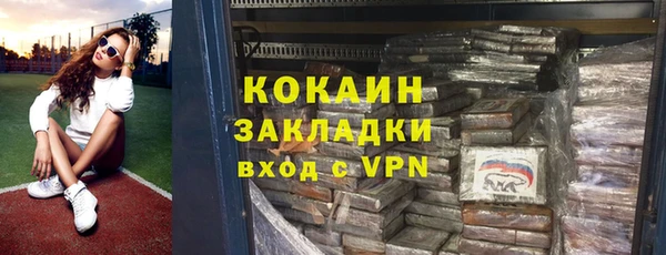 стафф Алексин