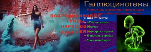 стафф Алексин